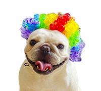 Pelucas de perro para perros pequeños, divertidas pelucas de cosplay para Halloween, Navidad, fiestas, festivales, pelucas de perro para mascotas para circunferencia de cabeza de 11.8 a 23.6 pulgadas