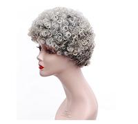 Pelucas Peluca de pelo gris corta for mujeres Pelucas rizadas afro Peluca de fiesta cuestas Cabello sintético Cabello Natural(Style 1)