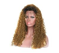 Pelucas Pelucas frontales de encaje sintético rizado rubio for mujer y niña Pelucas de pelo sintético de pelucas de encaje de dos colores Cabello Natural (Size : 24inches)
