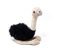 Peluche 25 cm de avestruz, - Peluche Ramo de pájaro