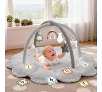 Peluche 5 en 1 Baby Gym Gris