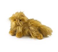 Peluche de la colección noble crookshanks