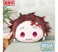 Demon Slayer: Kimetsu no Yaiba - Cojín interior Tanjiro Kamado PM