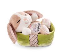 Peluche Mascotas dormilonas Conejo Capuchino en canasto Verde 12cm