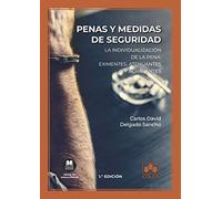 Penas y medidas de seguridad: La individualización de la pena: eximentes, atenuantes y agravantes: 1 (Monografías)