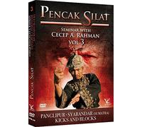Pencak Silat Seminar with Cecep A. Rahman Vol.3