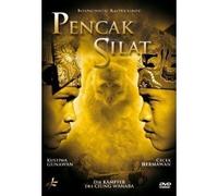 Pencak Silat The Indonesian Art of Fighting - The Fighters of Ciung Wanara by Kustiwa Gunawan