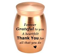 PENCHEAK Simple - Urna conmemorativa para cenizas, caja de cremación para uso diario, tarro de metal, ataúd para cenizas conmemorativas para perros