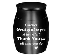 PENCHEAK Simple - Urna conmemorativa para cenizas, caja de cremación para uso diario, tarro de metal, ataúd para cenizas conmemorativas para perros