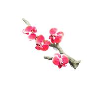 PENCHEAK Ventosa para reptiles y acuarios, decoración realista para lagartos, reptiles y terrarios