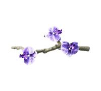 PENCHEAK Ventosa para reptiles y acuarios, decoración realista para lagartos, reptiles y terrarios