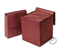 Pendaflex vertical reforzado Daily 1 - 31/31 bolsillo reforzado carpeta archivadora en forma de acordeón, tamaño carta, 1 cada (14004)