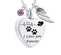 Pendant Urns for Human Ashes,Heart with ECG Dog Paw Print Birthstone and Angel Wing Engraving I Love You Forever Ash Necklace Stainless Steel Necklace Urns