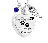 Pendant Urns for Human Ashes,Heart with ECG Dog Paw Print Birthstone and Angel Wing Engraving I Love You Forever Ash Necklace Stainless Steel Necklace Urns