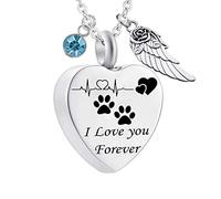 Pendant Urns for Human Ashes,Heart with ECG Dog Paw Print Birthstone and Angel Wing Engraving I Love You Forever Ash Necklace Stainless Steel Necklace Urns