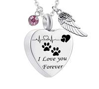 Pendant Urns for Human Ashes,Heart with ECG Dog Paw Print Birthstone and Angel Wing Engraving I Love You Forever Ash Necklace Stainless Steel Necklace Urns