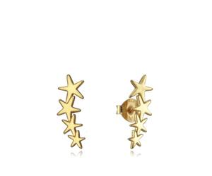 Pendiente trepador boton TrepaViceroy 5065E100-08 Multi estrellas Mujer
