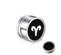 Pendientes de acero inoxidable, con doce constelaciones falsas para mujeres y hombres, plata, Acero inoxidable, Sin circonitas cúbicas