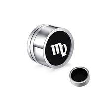 Pendientes de acero inoxidable, con doce constelaciones falsas para mujeres y hombres, plata, Acero inoxidable, Sin circonitas cúbicas