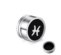 Pendientes de acero inoxidable, con doce constelaciones falsas para mujeres y hombres, plata, Acero inoxidable, Sin circonitas cúbicas