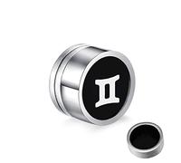 Pendientes de acero inoxidable, con doce constelaciones falsas para mujeres y hombres, plata, Acero inoxidable, Sin circonitas cúbicas