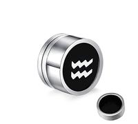 Pendientes de acero inoxidable, con doce constelaciones falsas para mujeres y hombres, plata, Acero inoxidable, Sin circonitas cúbicas