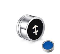 Pendientes de acero inoxidable, pendientes de tuerca con imán gótico, doce constelaciones, falsos para mujeres y hombres, plata, Acero inoxidable, Sin circonitas cúbicas