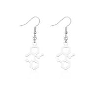 Pendientes de ciencia, biólogo, químico, físico, regalo de agradecimiento para profesores de ciencias, S, Acero inoxidable