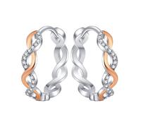 Pendientes de encaje y diseño creativo que muestra personalidad encanto y exquisito temperamento perfecto para ocasiones casuales y formales accesorios elegantes pendientes de mariquita plata, talla