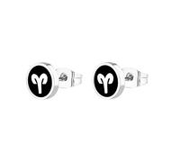 Pendientes de Semental para Mujeres Titanio, Pendientes de sementales Silver Black 12 Constelations Men Pendientes