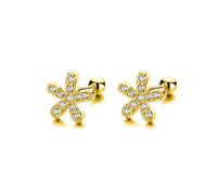 Pendientes de semental Tornillo de tornillo Cumpleaños dulces para mujeres