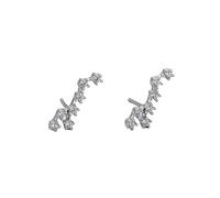 Pendientes Pequeños De Plata De Ley 925 con Circonita Cúbica para Mujer, Diseño De Leo, Horóscopo, 12 Constelaciones Del Zodiaco, Astrología, Cartílago, Joyería para Mamá, Hermana, Novia.