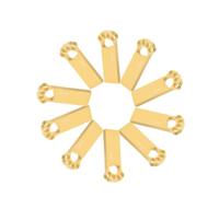 Pendrive 32GB [10 Unidades], Linda Forma de Garra de Gato Memoria USB 32 GB Mini Pen Drive USB 2.0 Memoria Flash 32GB para Computadoras, Tabletas Almacenamiento de Datos Externo (Oro)