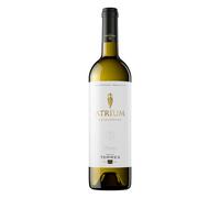 Miguel Torres Penedes Torres Atrium Chardonnay 2023 1 x 750 ml