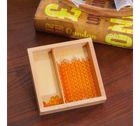 penepico Montessori Premium - Caja de cuentas doradas para pizarras Seguin, 10 barras de diez y 10 cuentas para decimal y valor, material de matemáticas para niños de 4 a 7, educación en casa y aula