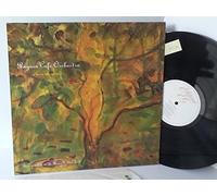 PENGUIN CAFE ORCHESTRA when in rome, EGED56 [Vinilo]