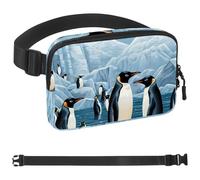 Penguins on Iceberg-1512 - Riñonera de estilo unisex: riñoneras de moda, bolsas cruzadas deportivas delgadas a la moda para correr, senderismo, senderismo, mujer, hombre, multicolor, 1.5 x 9.0 x 5.9
