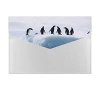Penguins on The Iceberg - Organizador de archivos de acordeón de 6 bolsillos, organizador de documentos expandible con etiquetas, carpetas de documentos de viaje, sobres de plástico con cierre a