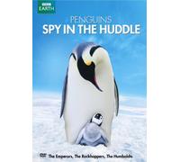 Penguins: Spy in the Huddle