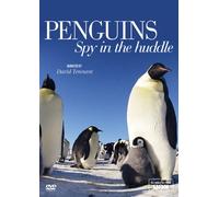 Penguins - Spy in the Huddle [DVD] [Reino Unido]
