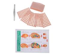 PENIKOKO Kit de Parches de Acupresión para Orejas Desechables con Pinzas y Guía de Puntos Auriculares para Masaje y Cuidado Auricular Adhesivos Hipoalergénicos para Alivio del Estrés y