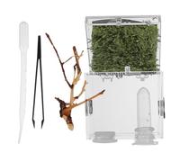 PENIKOKO Terrario para Insectos y Reptiles Diseño Resistente Humedad, Material Acrílico Seguro, Incluye Pinzas y Gotero, para Mantener y Criar Mascotas