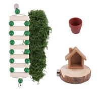 Penitue Conjunto de Decoración Hábitat para Arañas Saltadoras, Escondite Madera Puente Escalada de Madera y Maceta Divertidos Accesorios Recintos Arañas para Mascotas Que Trepan y se Esconden