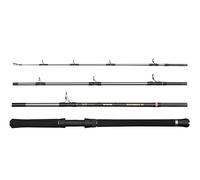 PENN Caña Regiment IV Boat Travel, caña para Pesca de Agua Salada Bacalao, Anguila de mar, lubina, abadejo, caballa, tiburón, Robusta, Ligera y versátil, Plata, 2,23 m caña rápida ambidiestra