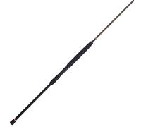 PENN Fishing Squadron III Surf Spinning Caña de Pescar, Titanio/Rojo/Dorado, 8 pies - Mediana - 2 Piezas (SQDSFIII1220S80)