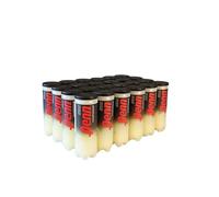 Penn Pelotas de Tenis Championship - Pelotas de Tenis presurizadas de Fieltro Extra Duty - 24 latas, 72 Bolas