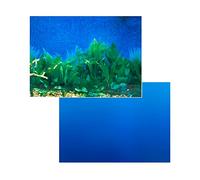 Penn-Plax Dbc10 en una Caja Transparente