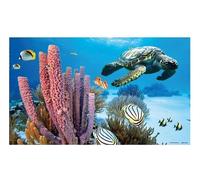 Penn-Plax Fondo Marino para Decoración de acuarios en 3D