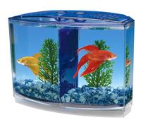 Penn-Plax Kit Doble Betta Bow-Front para Acuario Azul, Verde, Tanque Mide 19 cm en la Parte Delantera, 15 cm en la Parte Posterior