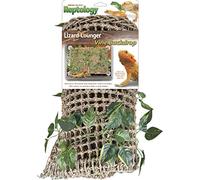 Penn Plax Reptology - Tumbona de Lagarto con viñas para Dragones con rodamiento, Iguanas y Otros Reptiles, 500 g